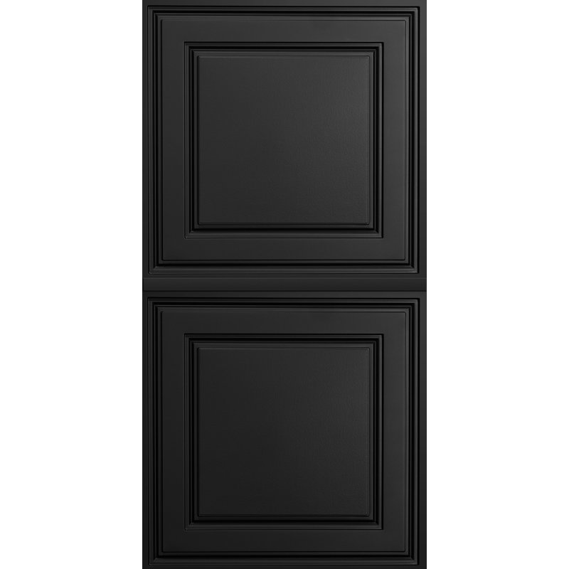 48'' L x 24'' W PVC Drop-In Ceiling Tile, Black