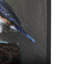 Graceful Poise II (merlebleu de l'Est)-92377288