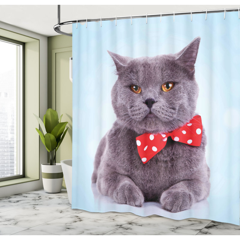 Ensemble de rideau de douche et crochets Cat, H 70 po x l 69 po