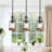 Chamblis 3 - Light Pendant