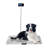 40.7'' W Digital Pet Scale