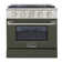 Pro-Style 30 in. 4.2 cu. ft. 4-Burner Freestanding Gas Range with Convection Oven