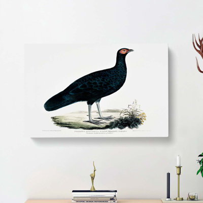 Purple Pheasant by John Edward Gray - Wrapped Canvas Print