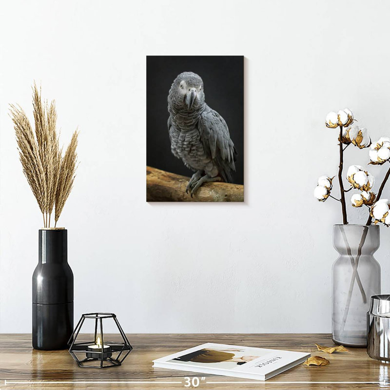 Brampt Congo Grey Parrot, 12" H x 8" W
