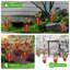 Garden Art-1873615106