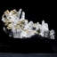 Cristal Ceceilia