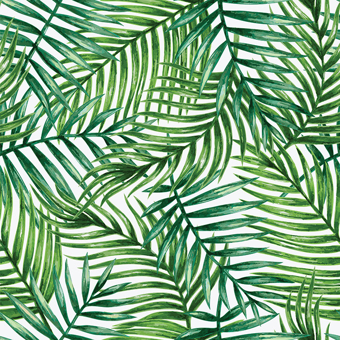 Bayhills 2.5m x 1.04m Matte Mural, 250 x 104cm