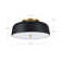 Flush Mount Ceiling Light With Metal Shade And Glass Diffuser