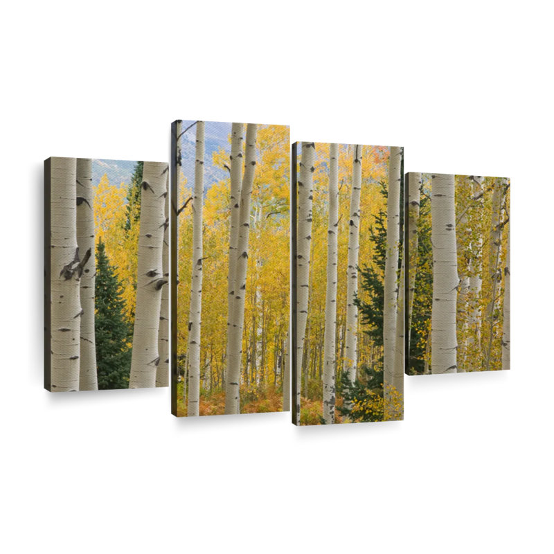Elk Mountain Aspen Trees Wall Art Multi Piece Canvas Print, H 54 po x l 84 po x P 1,25 po