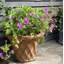 Labrieville Fiberglass Planter
