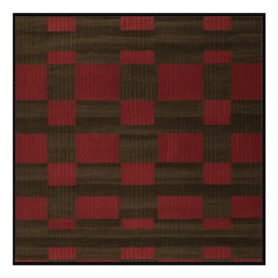 Machine Washable Checkered Brown Area Rug