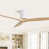 White Body with Beige Blade