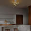 Chidalu Integrated LED Chandelier