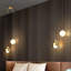 2 - Light Sphere Chandelier Ceiling Light With Glass Accents-1535328678-1496810002