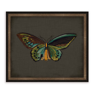 « papillons on black vi », impression encadrée