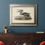 " Audubons Brown Pelican "-301430614