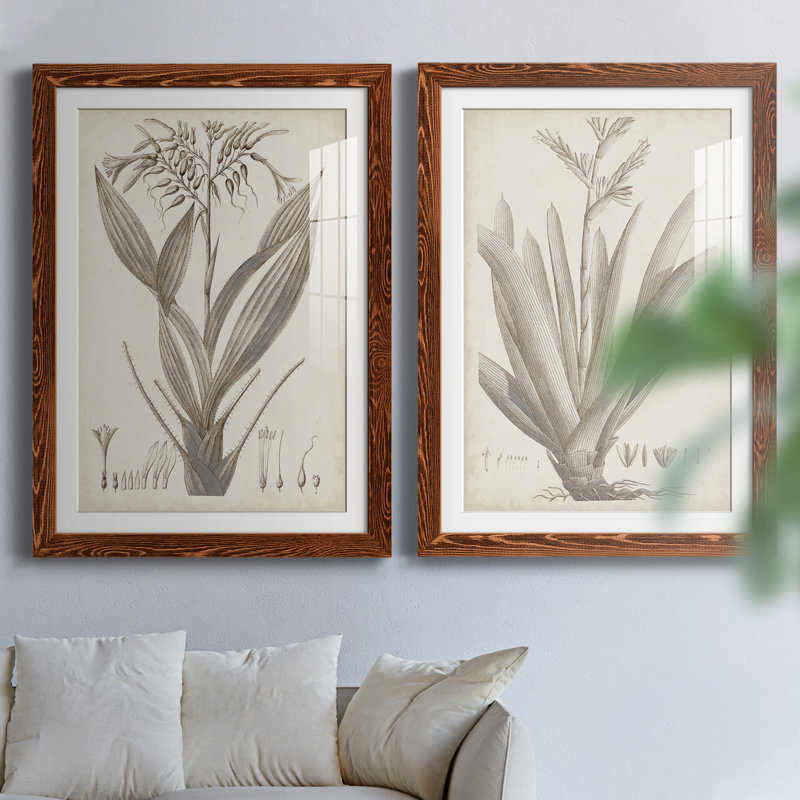 «Sepia Exotic Plants VII», ensemble de 2 reproductions d'art sur papier encadré, H 43,5 po x l 31,5 po x P 1 po
