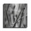Ebern Designs «Leaves BW 02» par Tom Quartermaine, art mural en métal-1142619742