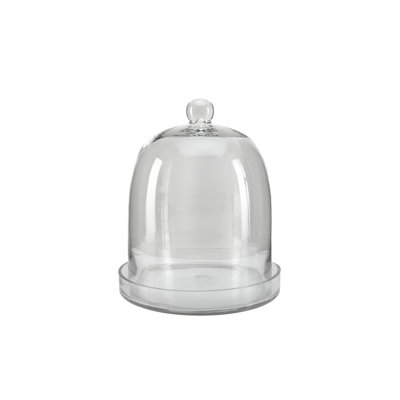 Winston Porter Glass Cloche, Ideal As A Terrarium, Great To Hold Airplants, Flower Blooms, Accessories, Photos, Candles, Dessert Display, Home, Office Decor, Gift Idea, 11" Diameter & 13" Tall