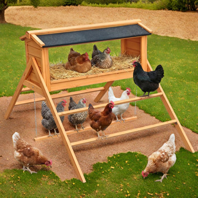 Boîte de nidification en bois avec toit en asphalte, échelle de perchoir et balançoire pour poules et volailles
