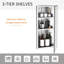 Isay 300mm W 600mm H Surface Framed Medicine Cabinet Mirror 2 Fixed