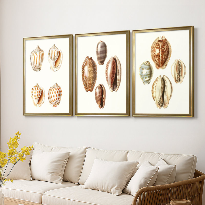 Lamarck Shells I - Toile tendue avec châssis sur mesure - 3 pièces, H 21 po x l 30 po, Doré