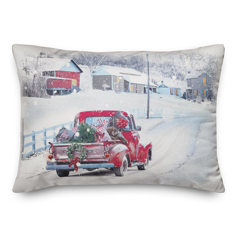 Throw Pillow