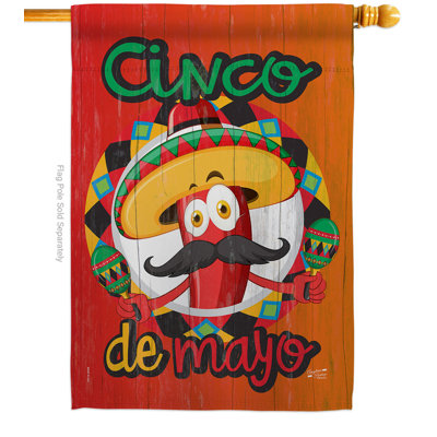 Ayric Double Sided 40'' H x 28'' W Polyester Cinco De Mayo House Flag