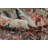 Distressed Look Abstract Oriental Area Rug 5x8