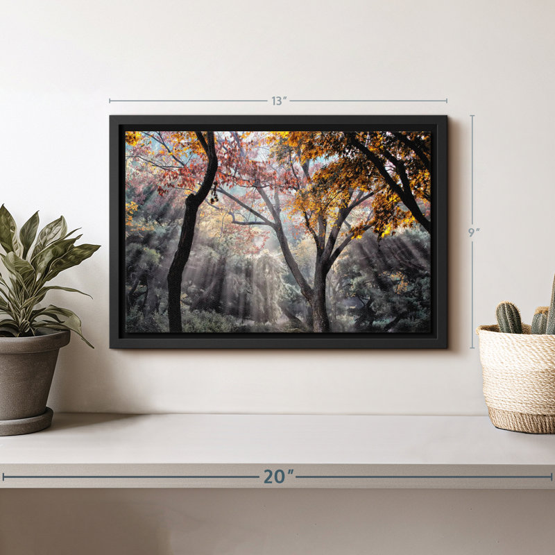 Impression sur toile Forest Sun Rays, H 13 po x l 9 po