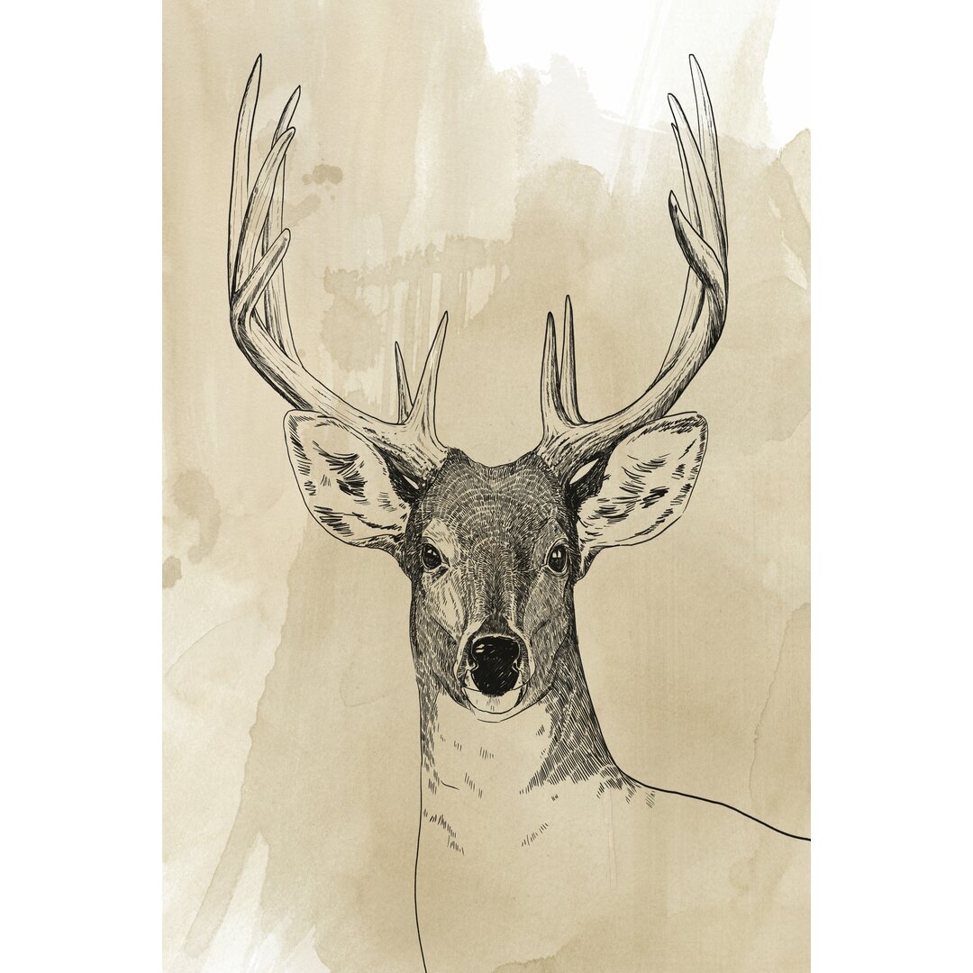 Leinwandbild Burnished Buck II von Grace Popp