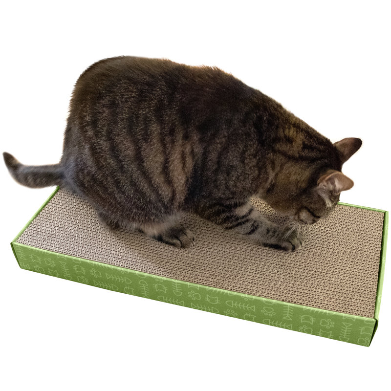 Scratching Post, 1.95" H x 19.69" W x 7.87" D, Green