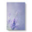 Pretty Purple Lavender - Wrapped Canvas-55322307