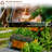 Madicyn Raised Garden Bed-1528668288