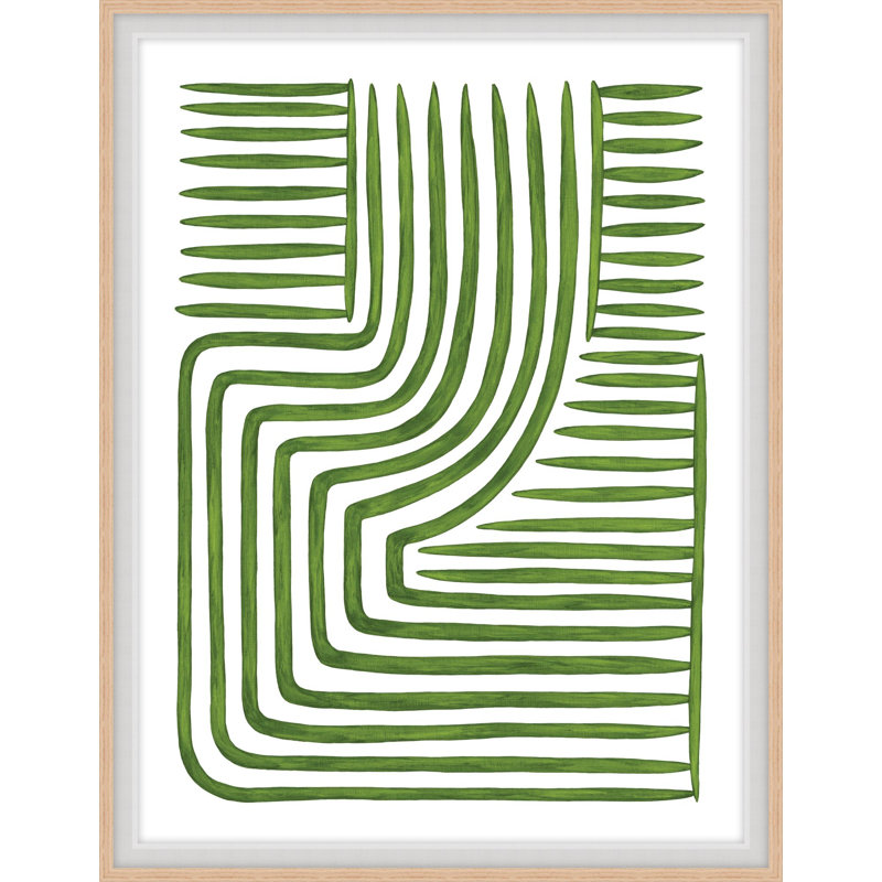 Botanicus Ordinatio 1 Print, 22.54" H x 17.54" W