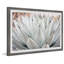 Parry's Agave - Single Picture Frame Painting-1939414588