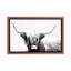 «Highland Longhorn», reproduction de photo encadrée-52359946-52359957