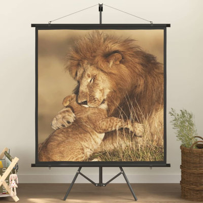 Arpiar White Portable Projection Screen