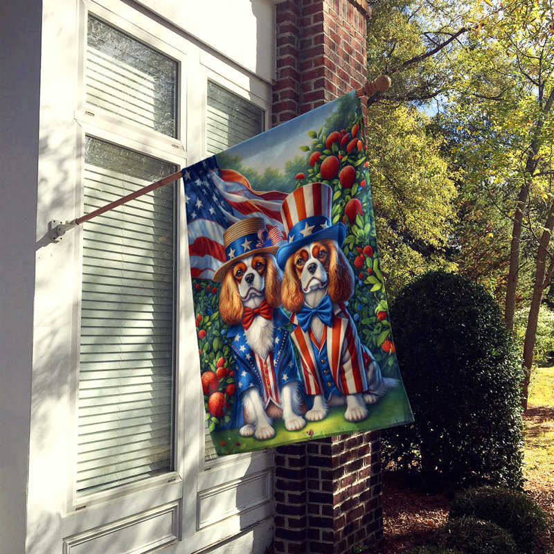 Drapeau «All American House», Épagneul Cavalier