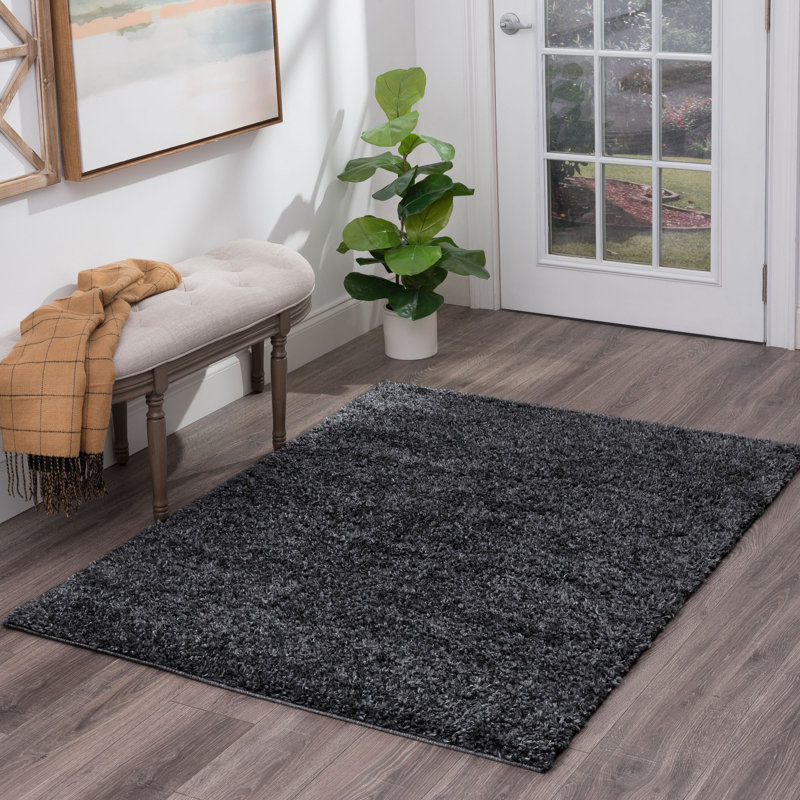 Tapis gris foncé à longs poils Delju, Rectangle 3 pi 3 po x 5 pi