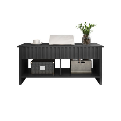 Pulchia Lift Top Coffee Table With Storage