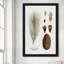 Pin botanique - Peinture-595111416-595111409