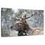 Wapiti d'hiver-107702985