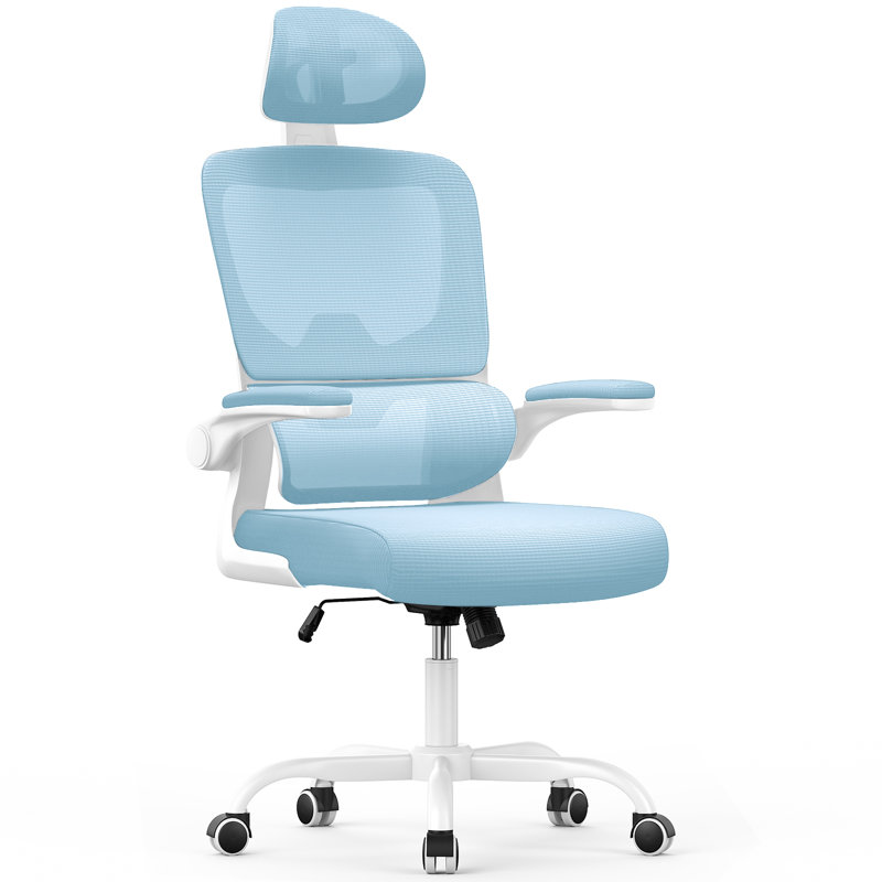 Motonobu Ergonomic Office Chair with Mesh Lumbar Support, Blue, White