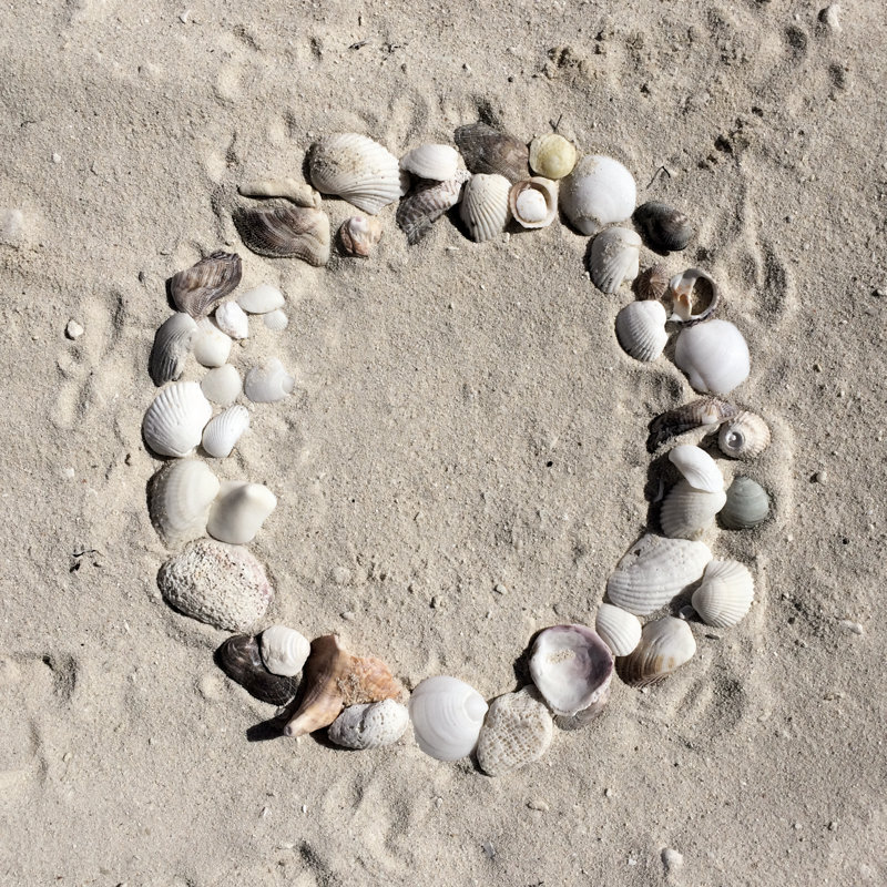 Shell Wreath - Wrapped Canvas Print, 91cm H x 91cm W x 3.8cm D