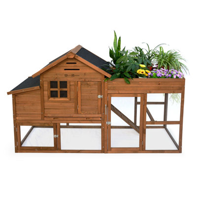 Chicken Coop with Nesting Box