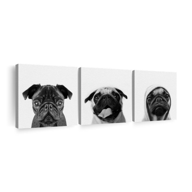 " Pug Life " 3 - Pieces, 36" H x 110" W x 1.25" D