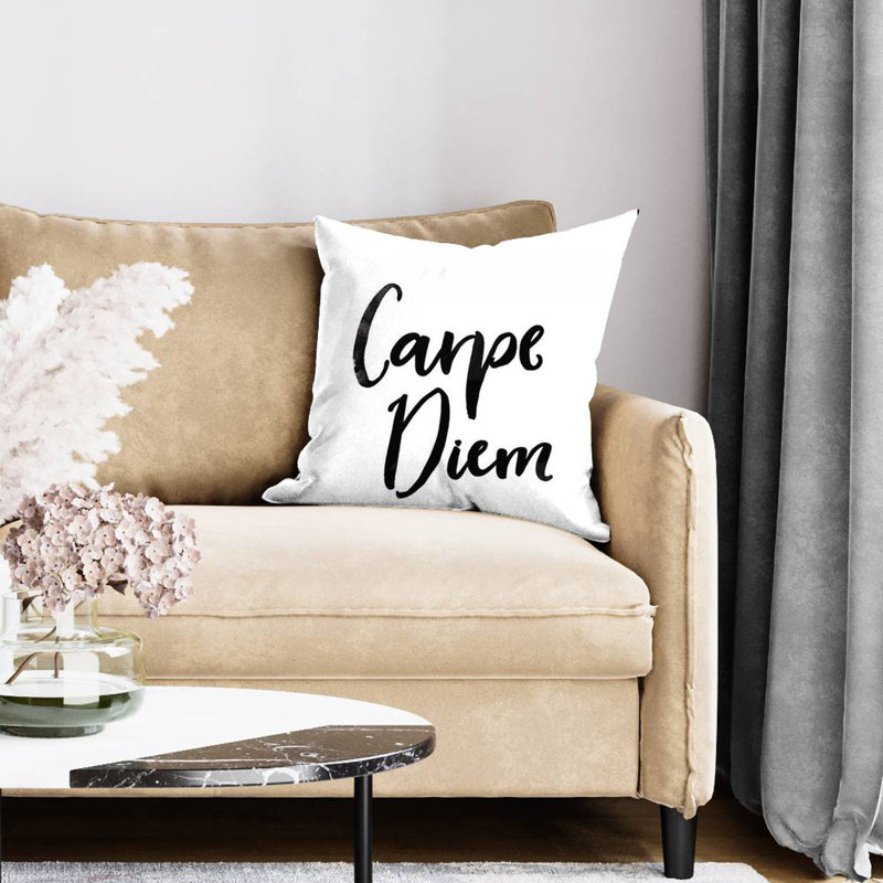 Carpe diem - 20"x20" Throw pillow - Poly twill - Print on demand, Polyester, 20"H x 20"W