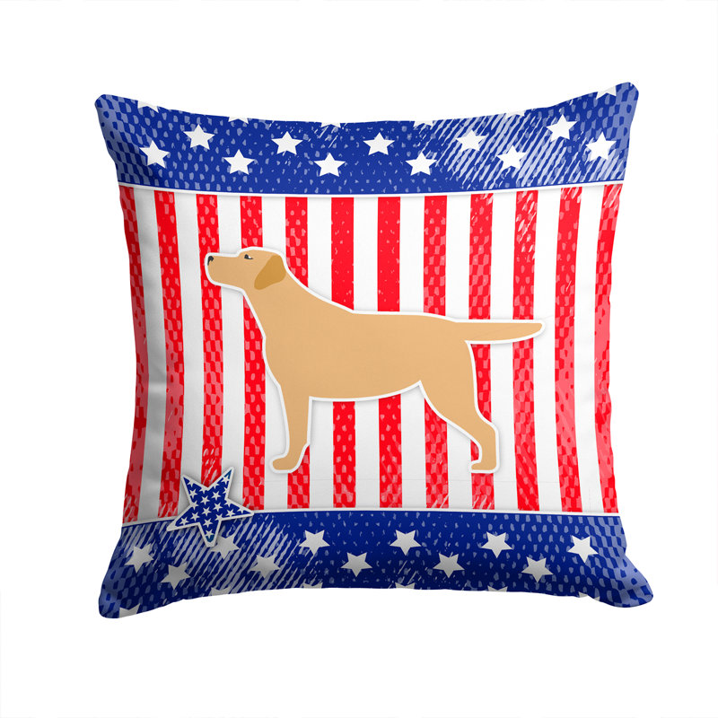 Coussin intérieur/extérieur Patriotic, H 14 po x l 14 po x P 3 po