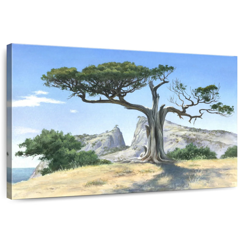Harnek Juniper Tree By The Cliff, 8" H x 12" W